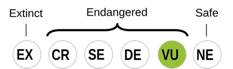 Kaiep language .